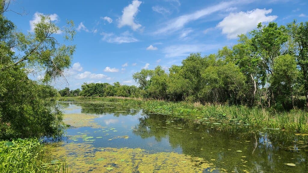 Brazos Bend State Park Texas