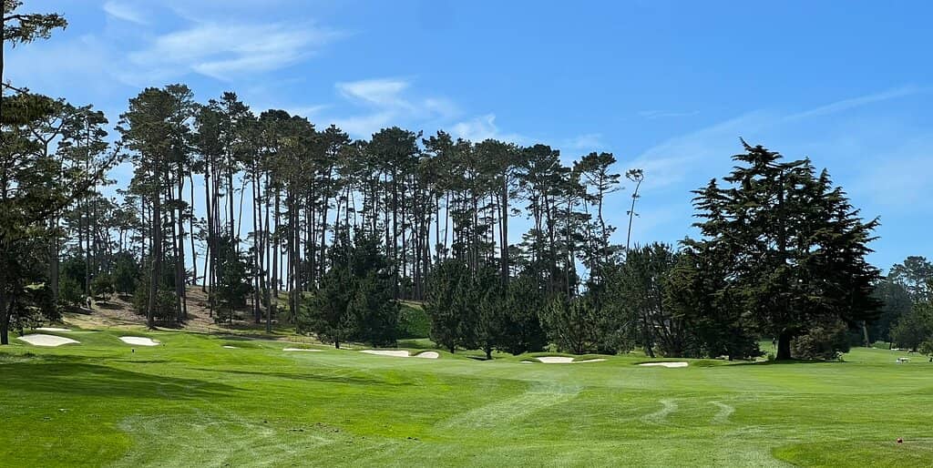 Hole 4: The 'Blind Pew'