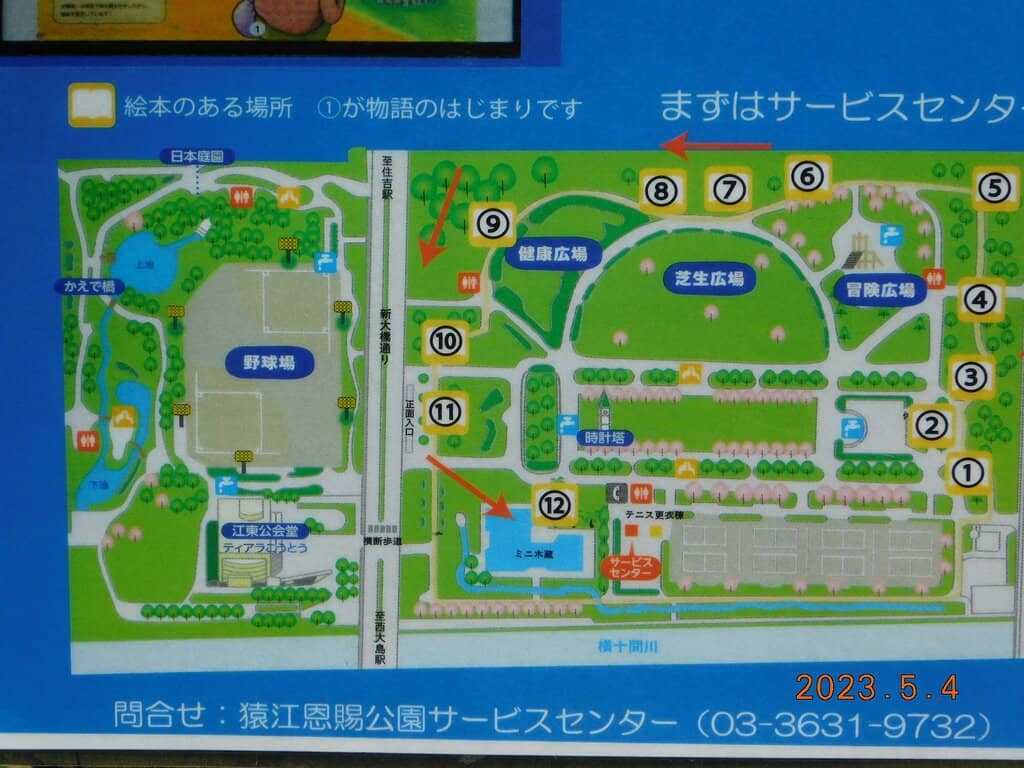 Tulip Garden