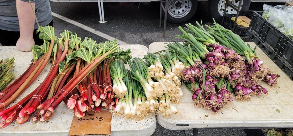 Rainy Day at the Market