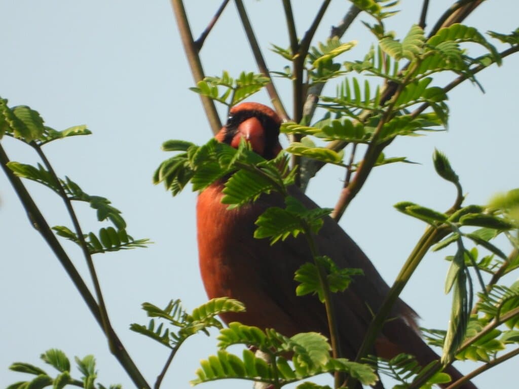 Garrett Family Preserve