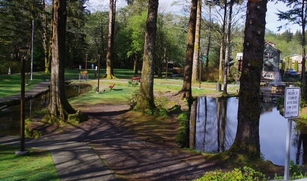 Water Features & Ponds