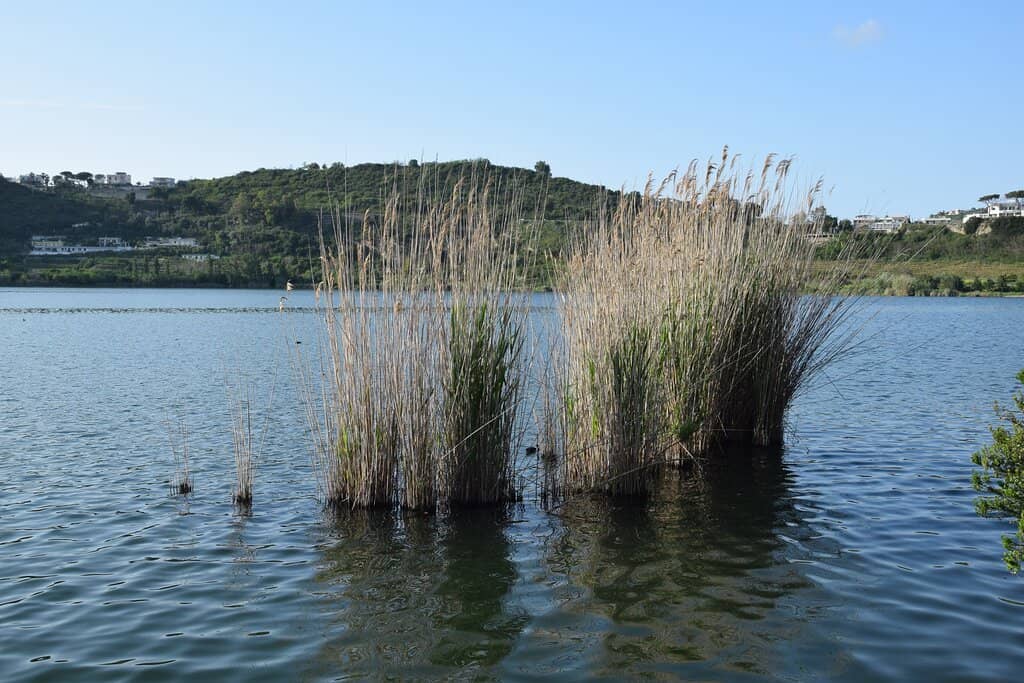 Echoes of Ancient Rome