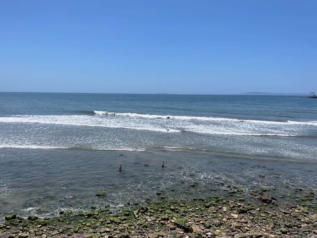 Rincon Beach Park