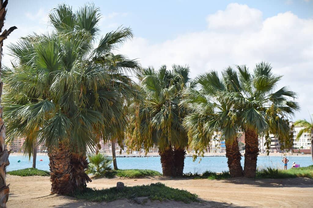 Family-Friendly Facilities