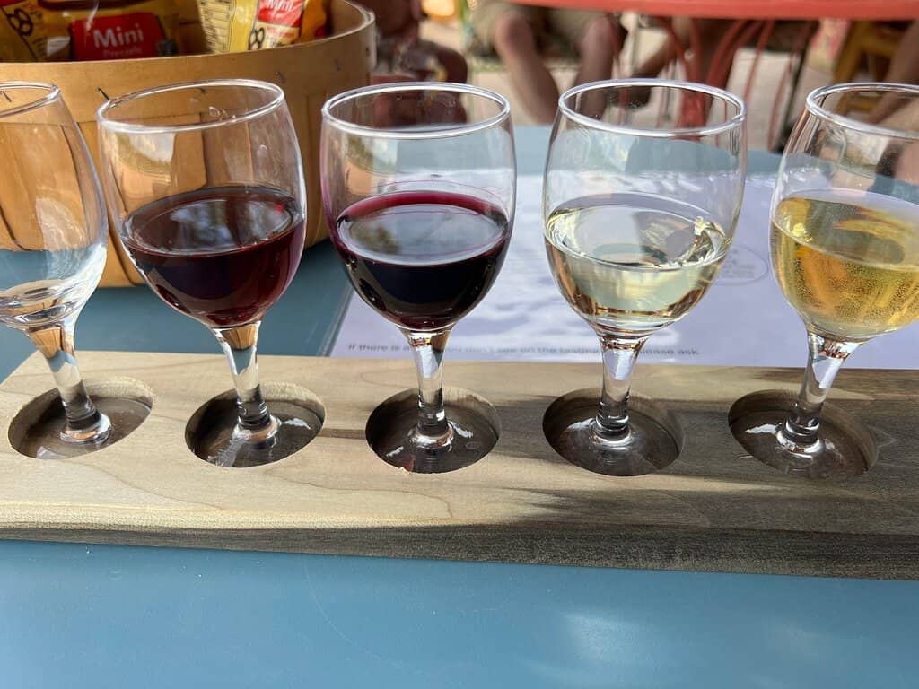 Peach Picking & Wine Tasting