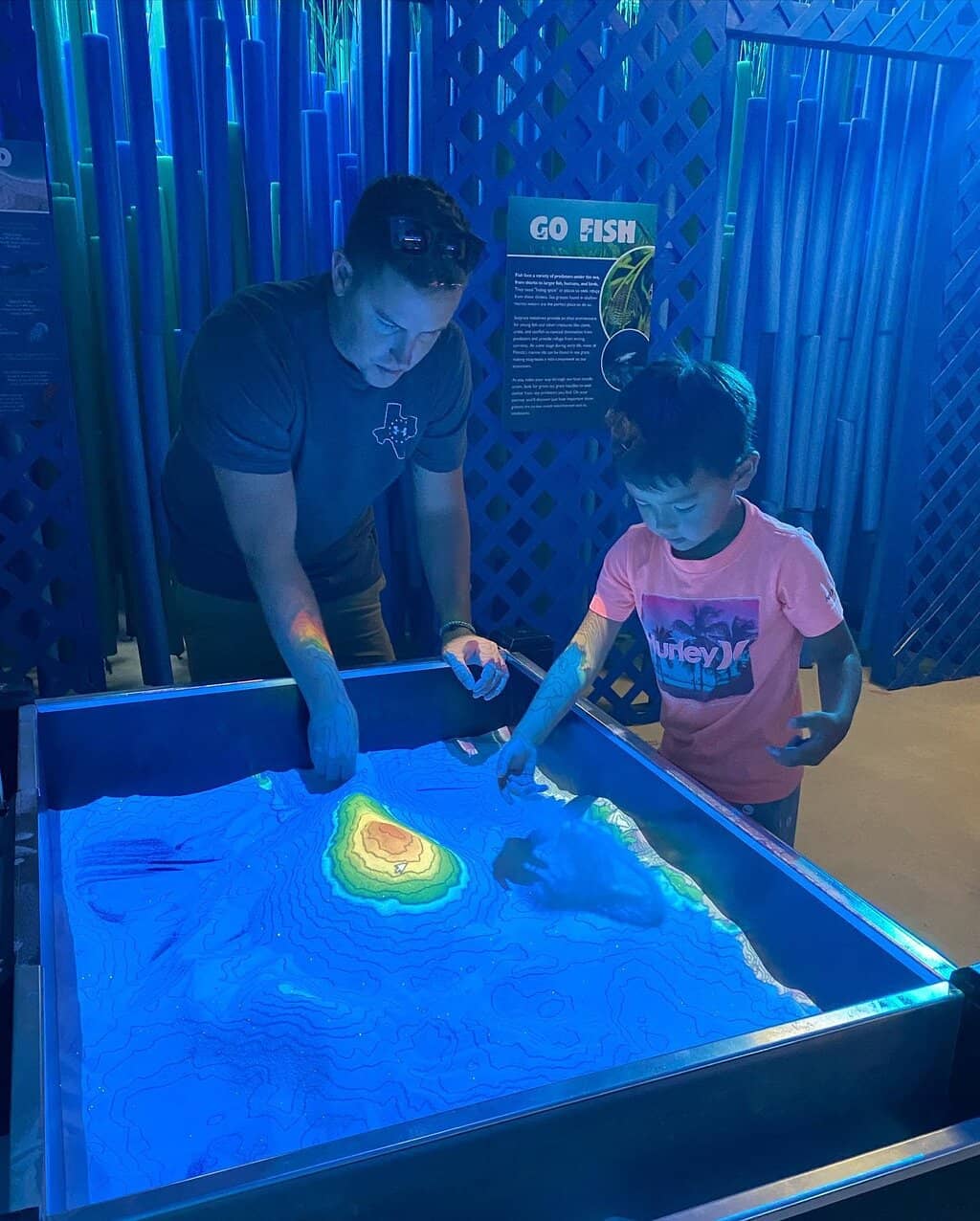 Animal Encounters