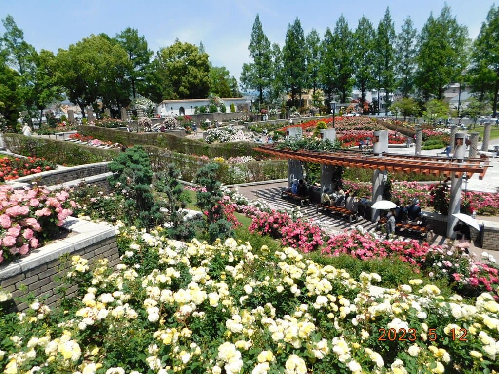 園内景観一例 2023年5月12日撮影