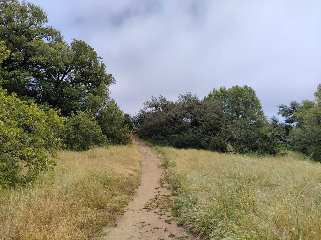 New Trail Loops
