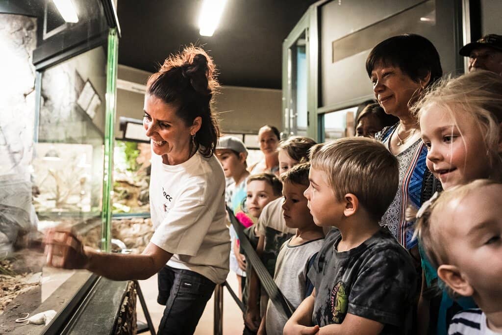 Diverse Reptile Exhibits