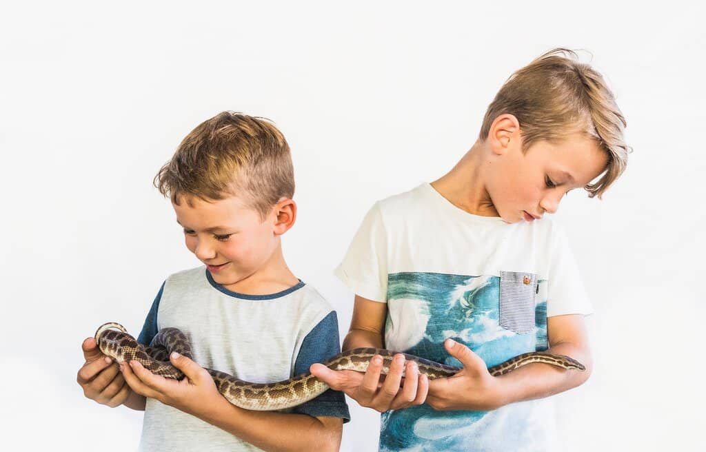 Snakes and Ladders Playground