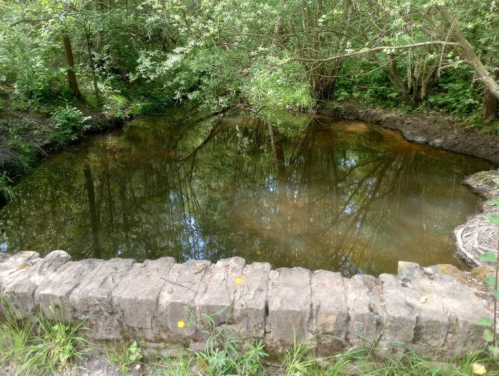 Reclaimed Colliery Landscape