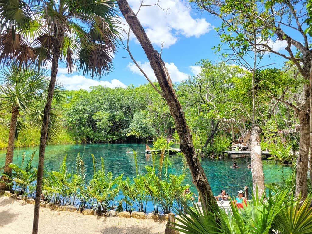 Crystal-Clear Waters