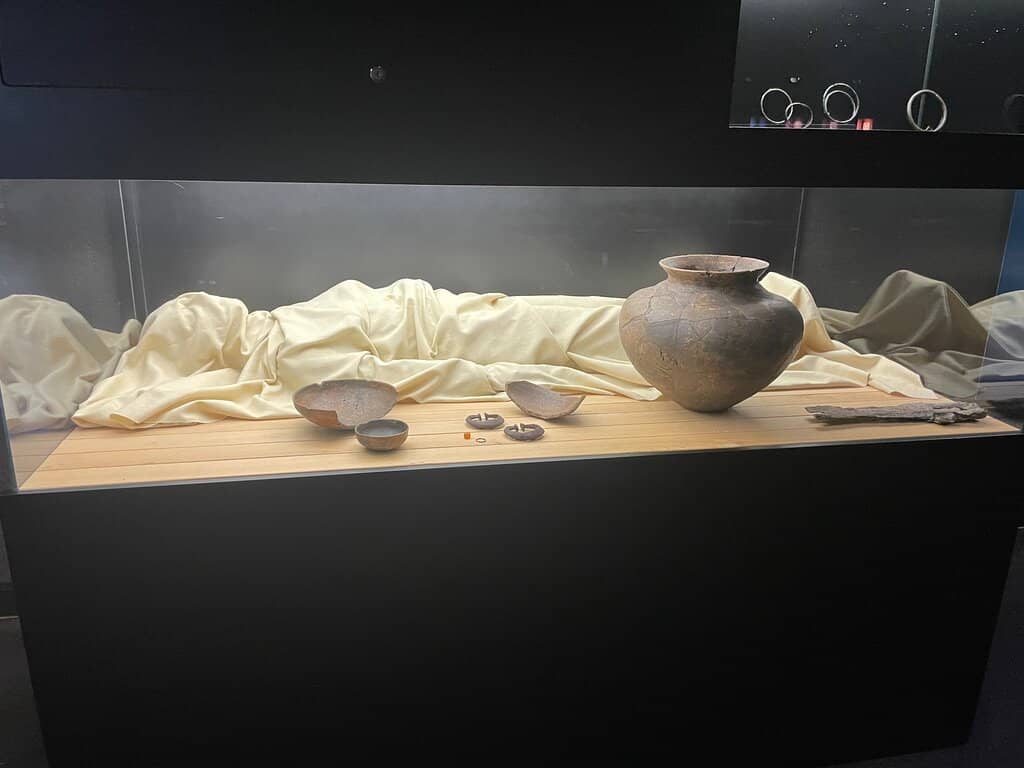 Artifact Displays