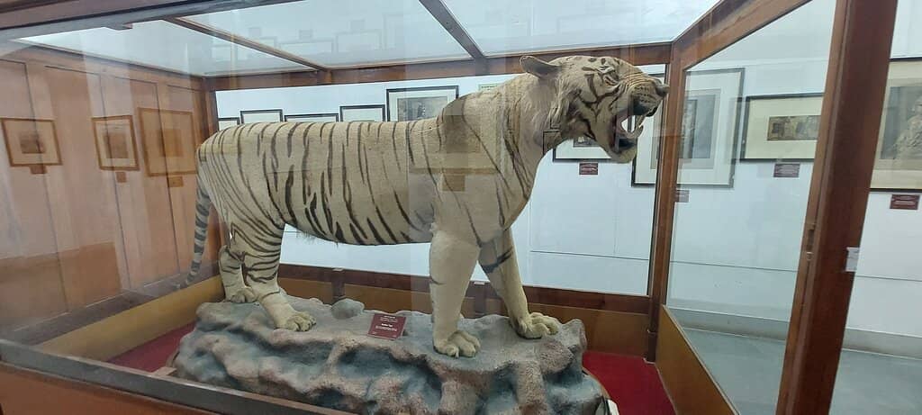 Miniature Paintings & Royal Manuscripts