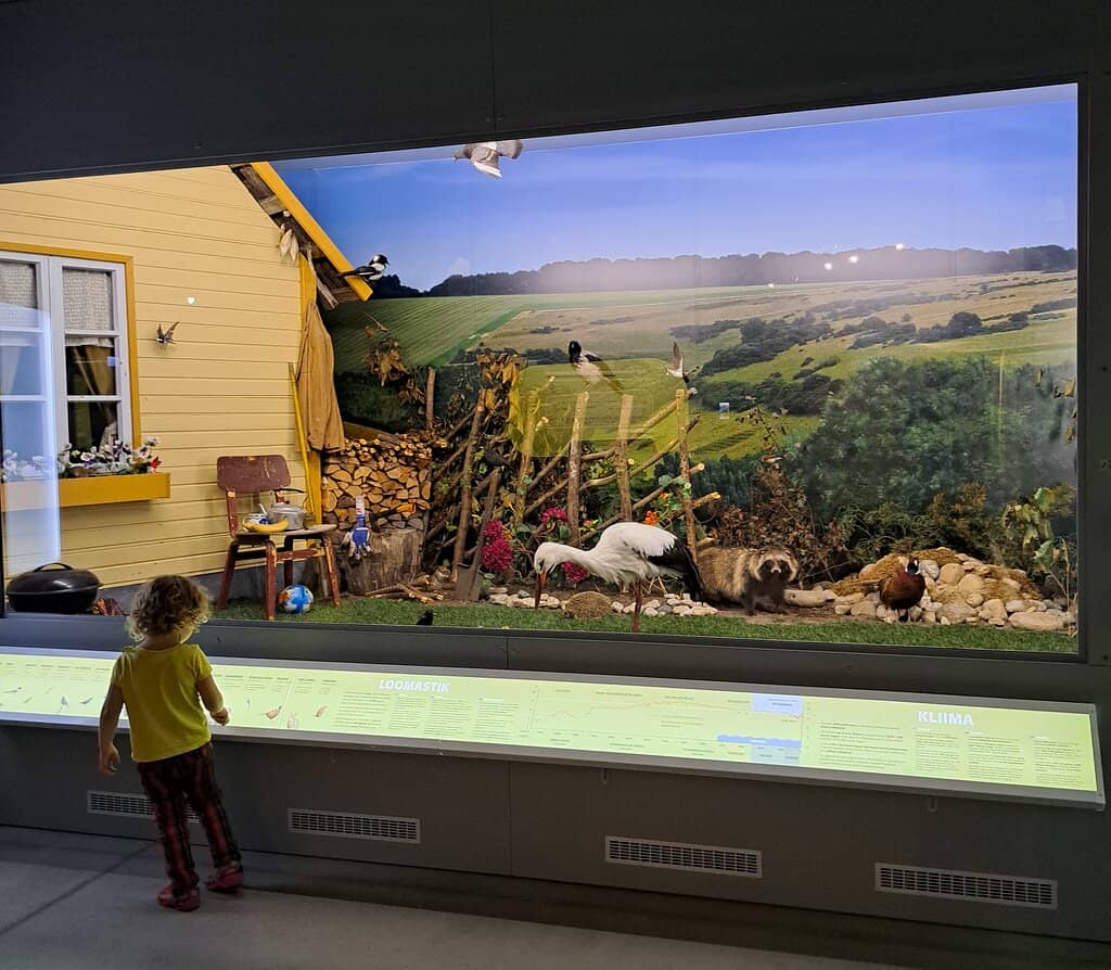 Interactive Exhibits