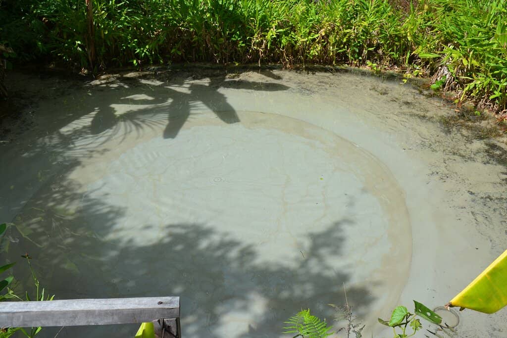 Confluence of Rivers