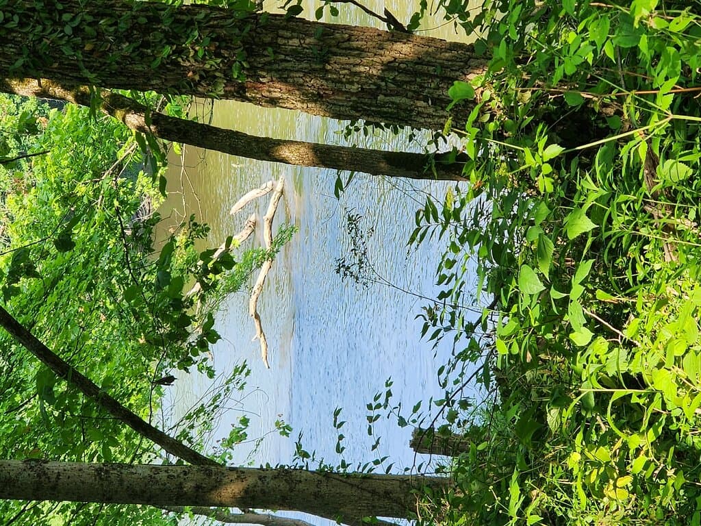 Little Miami Scenic Trail