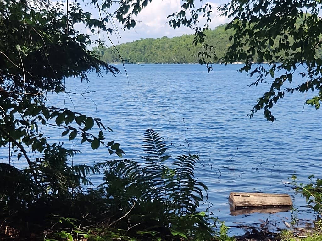 Kayaking & Boating