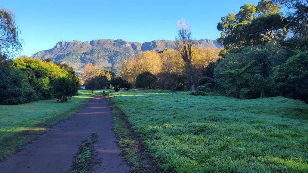 Alphen Trail Constantia Greenbelt
