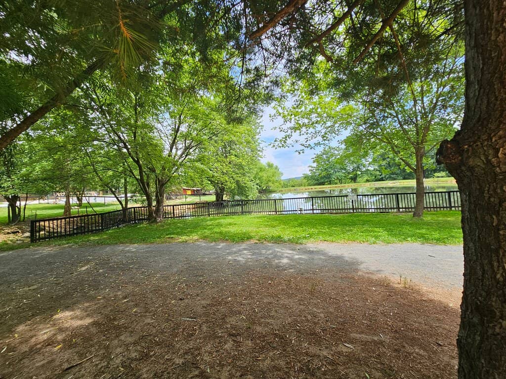 Corn Mazes & Play Areas