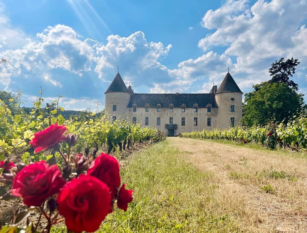 Abarth Race Car Collection
