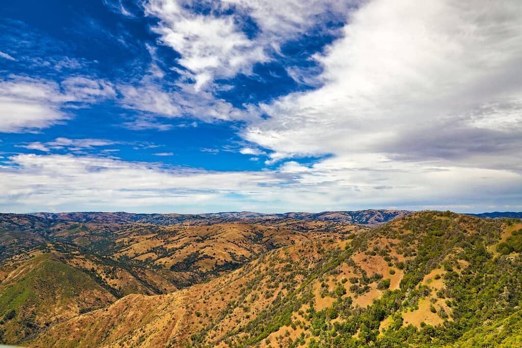 Panoramic Bay Area Views