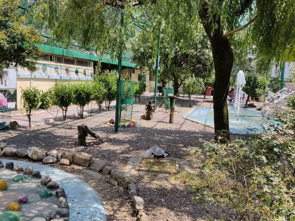 Peaceful Himalayan Setting