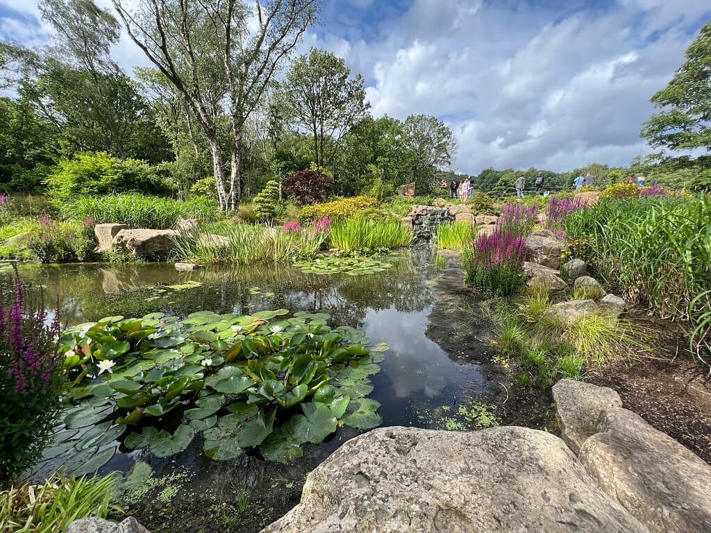 RHS Garden Bridgewater