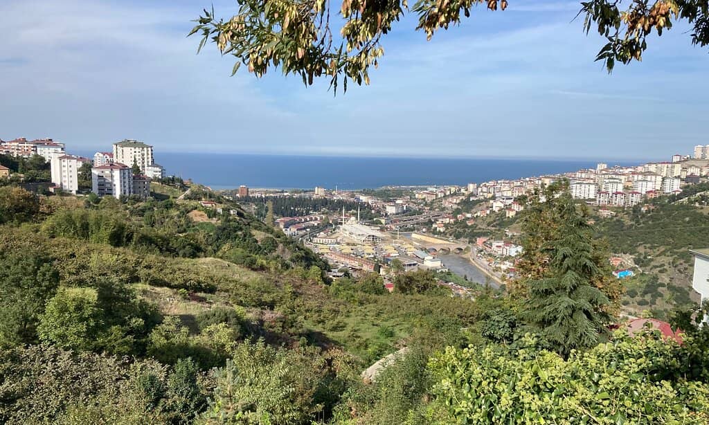 Panoramic Views