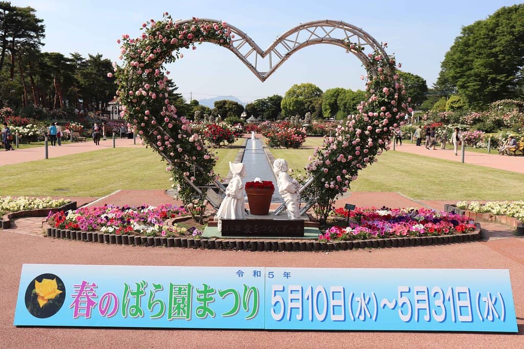 Sports Fields & Stadium