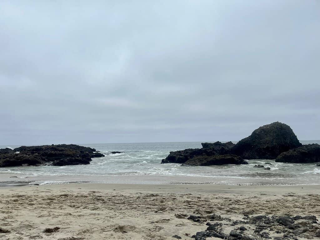 Tide Pool Exploration