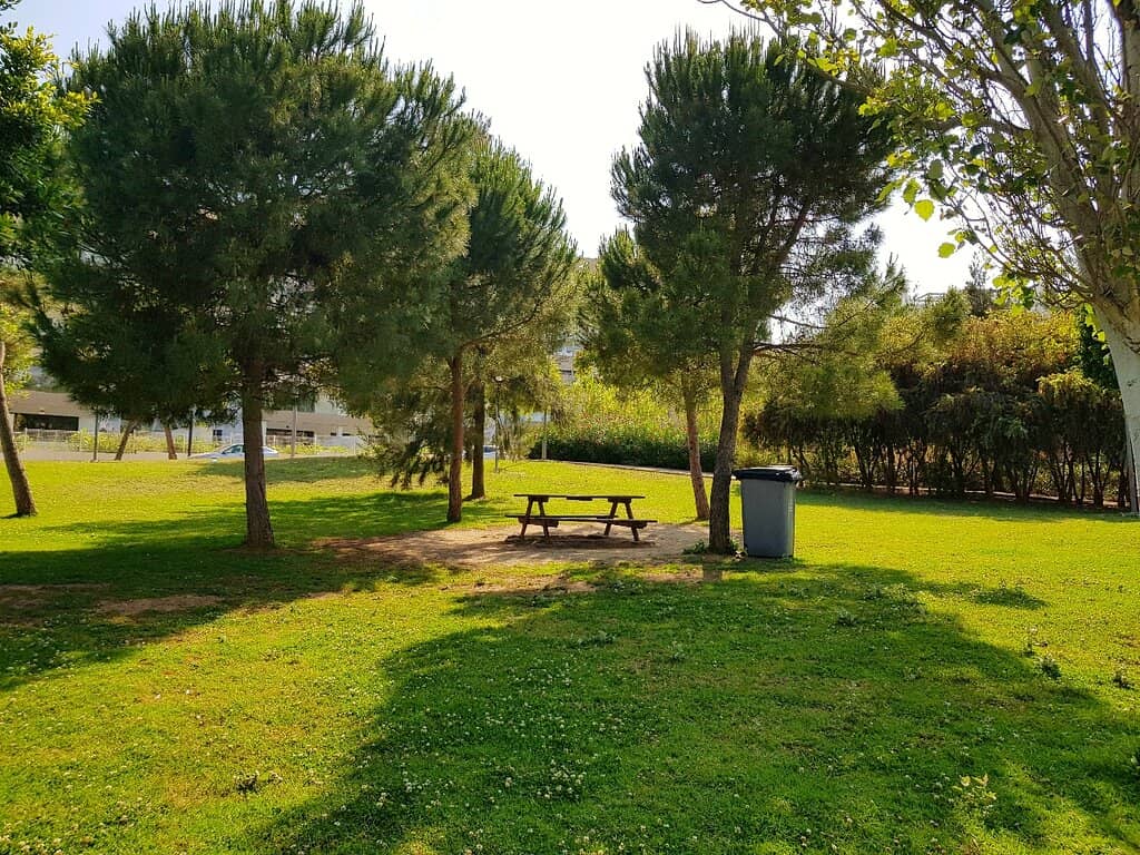 Family Play Areas