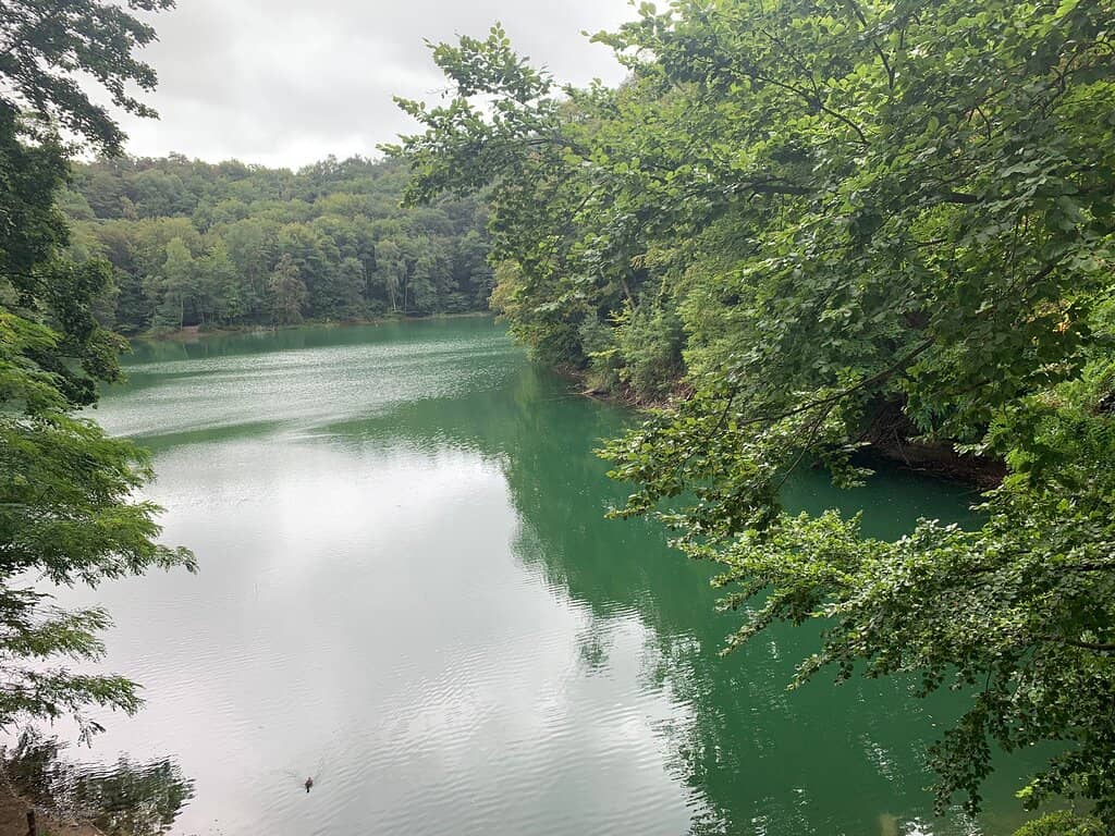 Emerald Lake Lodge Dining