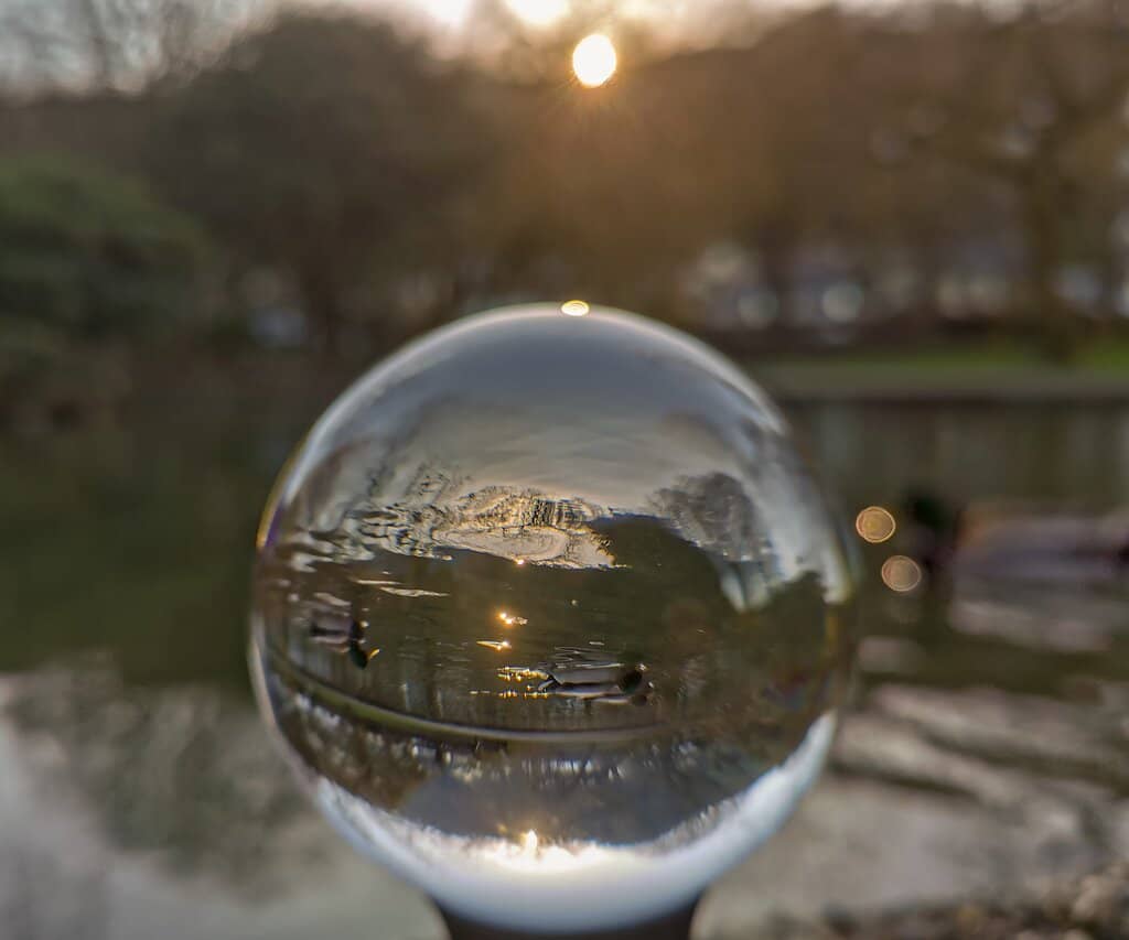 Vertical photo