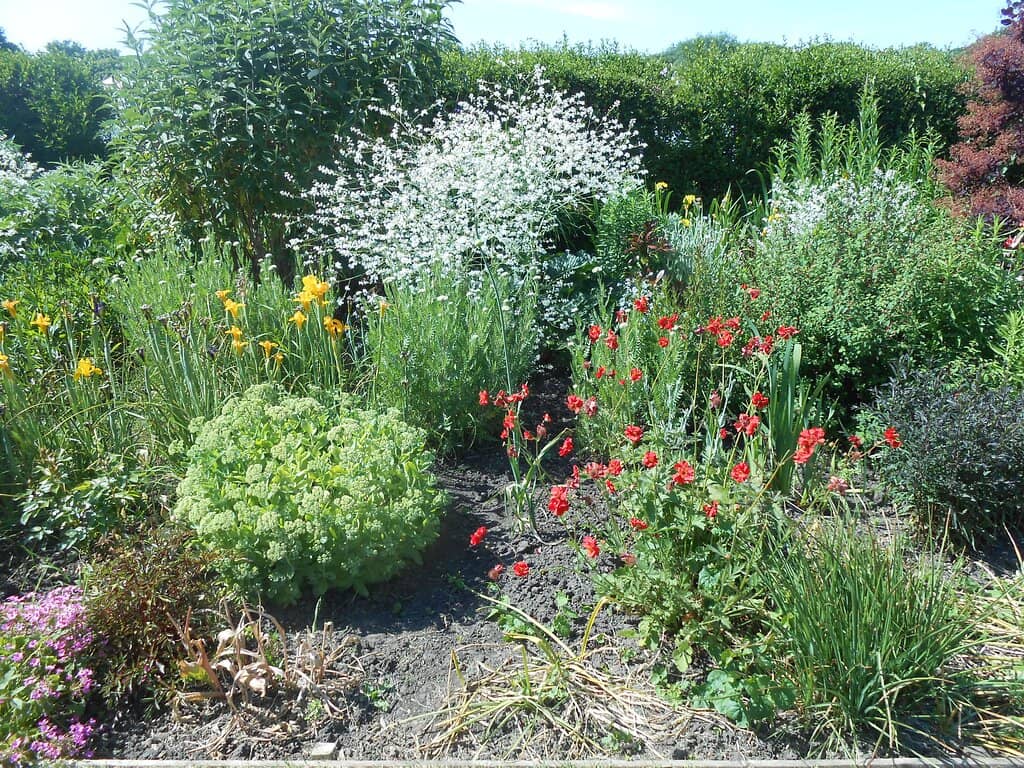 Historic Bridleway Views