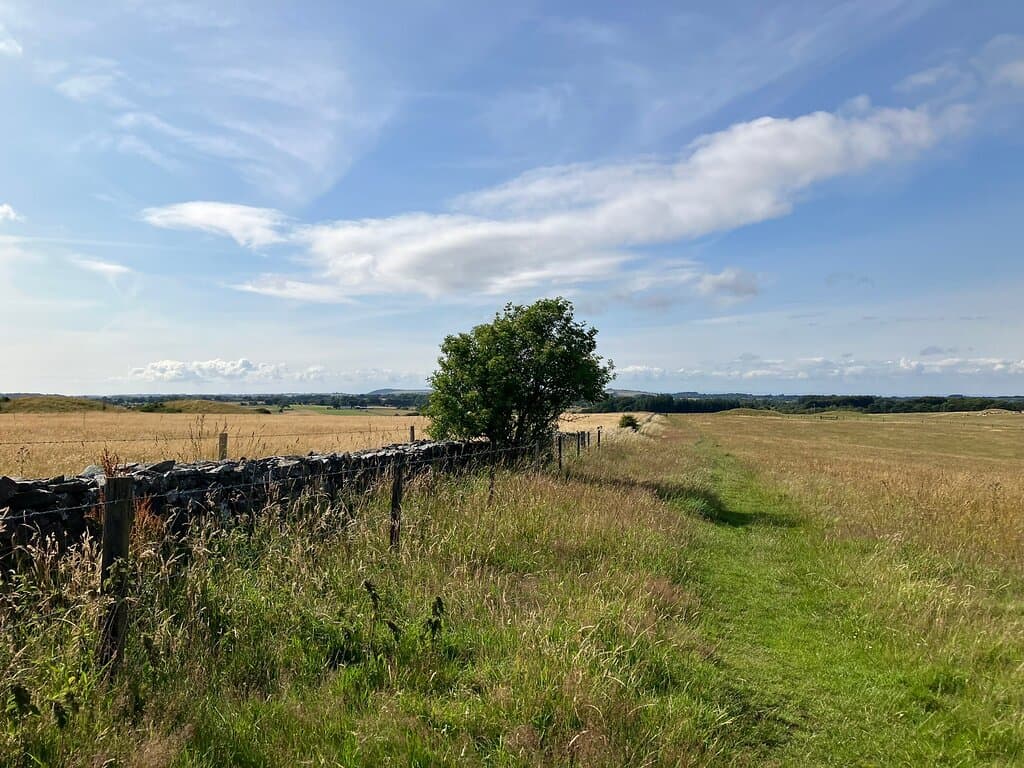 Nine Barrows Cemetery is a series of round burial mounds close to the small picturesque village of Priddy dating back to the Bronze Age. It is just a pleasant walk from the car park, very high bracken on the ascend. They are designated as ancient monuments with a significant importance for the local community.