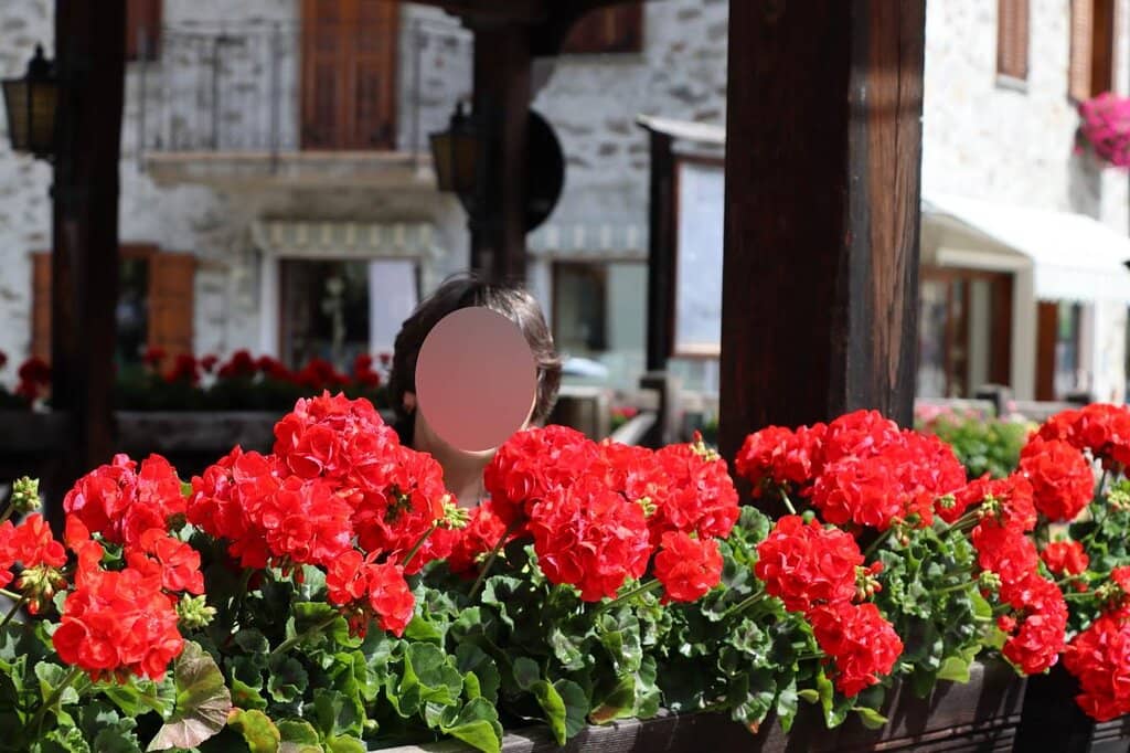 WWI Trenches & Fortifications