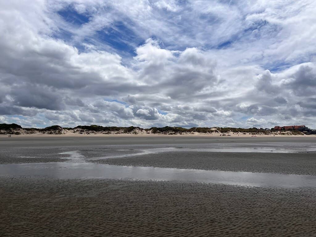 Expansive Sandy Shores