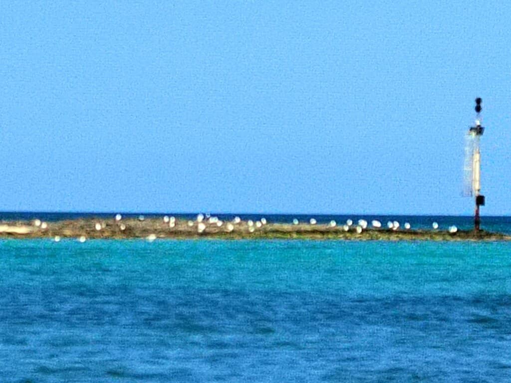 Bird Watching Hotspots
