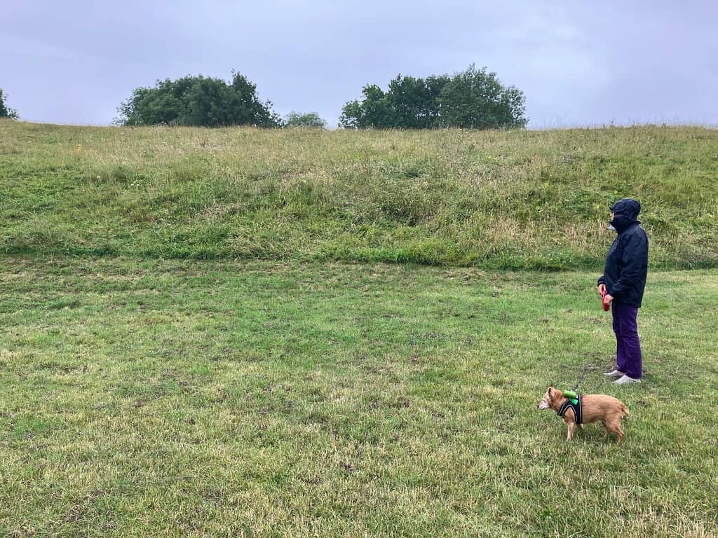 The Grand Amphitheatre