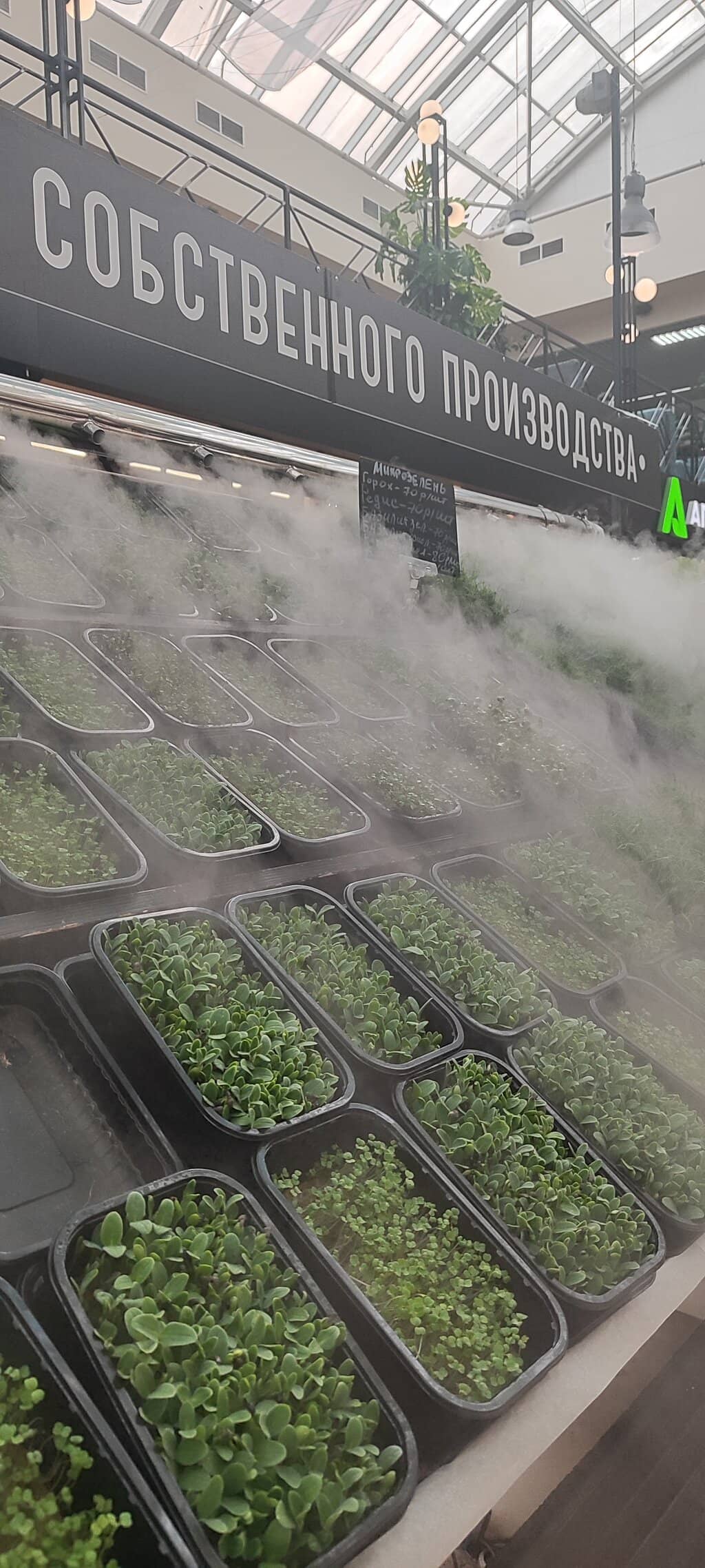 Artisan Treats & Local Finds