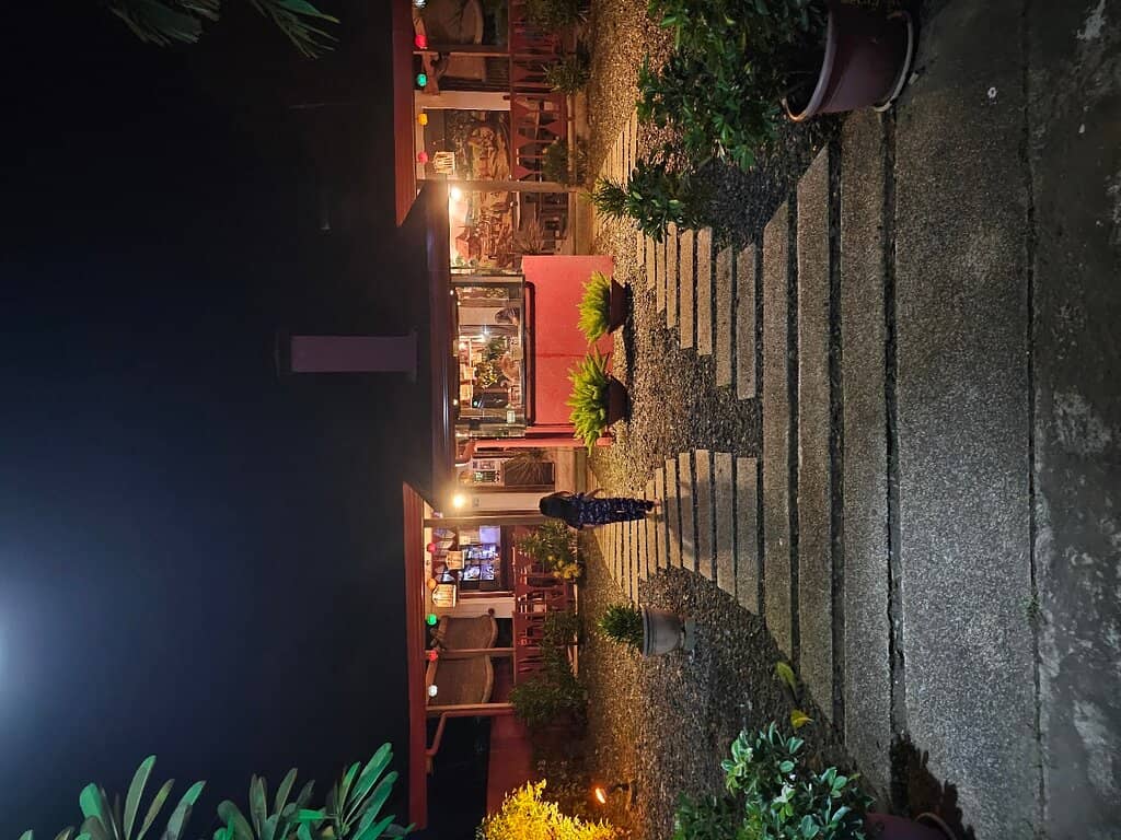 Friendly Feline Companions