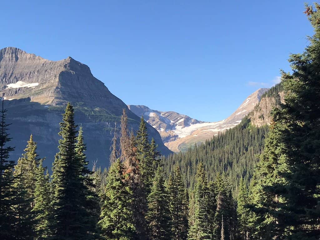 Jackson Glacier View
