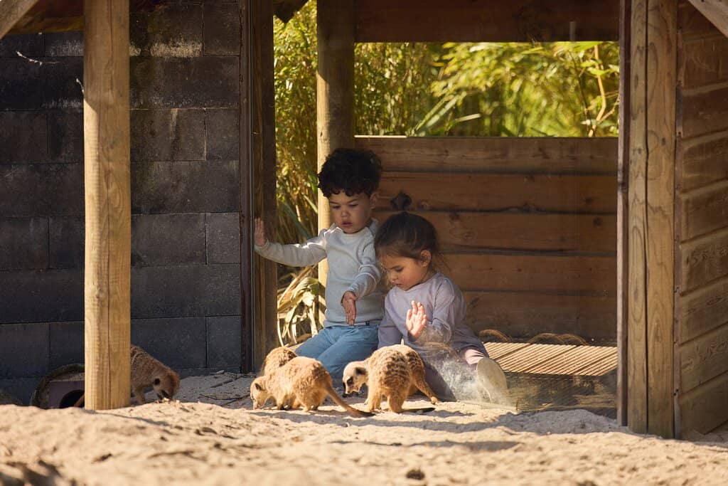 Close-Up Animal Encounters
