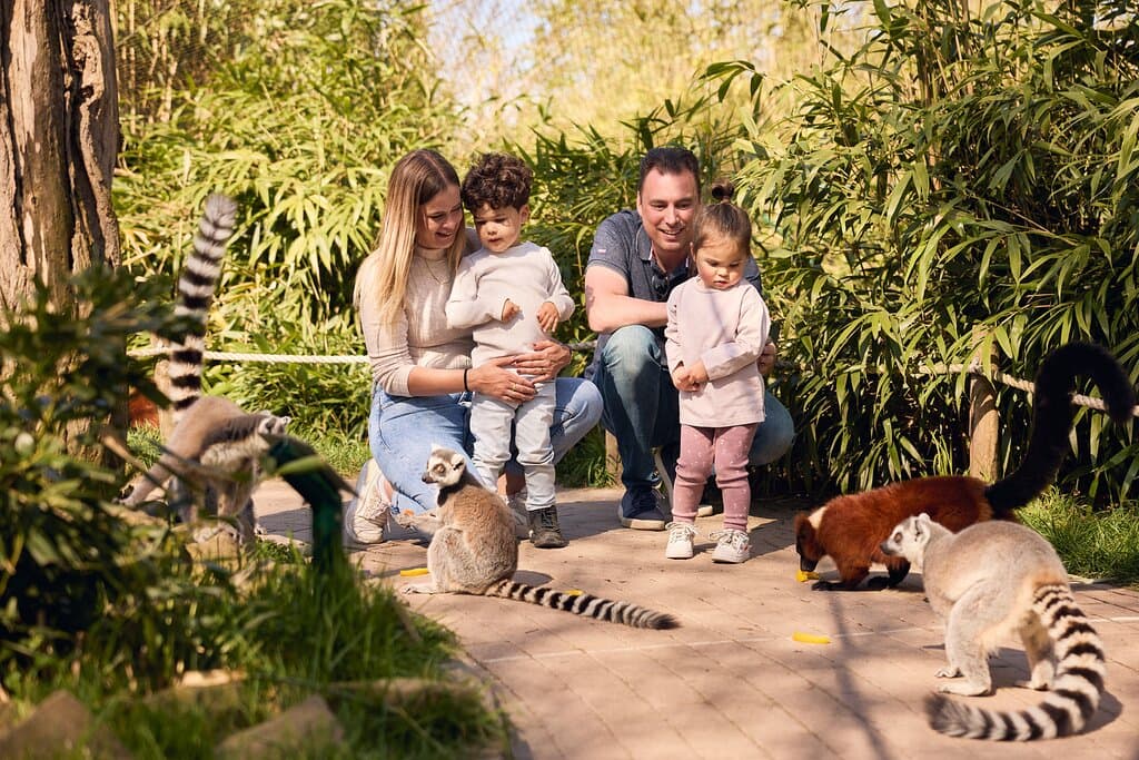 Dierenrijk | Maki's en vari's