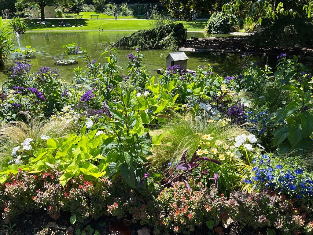 Tranquil Water Features