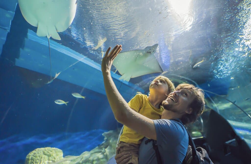 Oman Aquarium