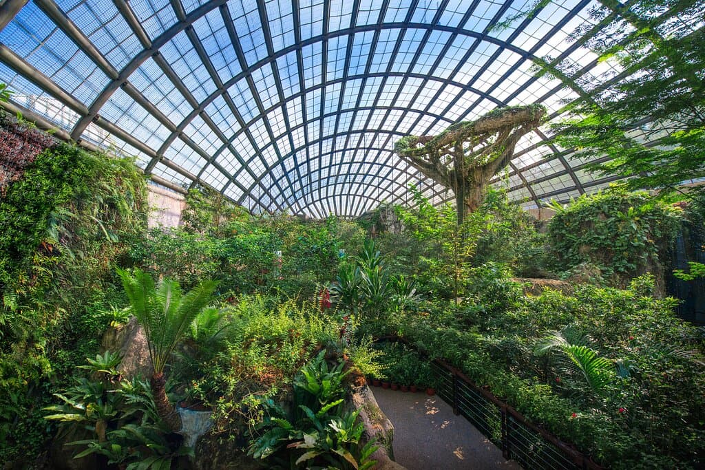 The Natureland, which is a living garden vivarium, is a shared ecological space for a variety of animals from invertebrates and reptiles living in their re-created natural habitat. It is the one of the largest butterfly garden in Malaysia with approximately 15,000 free-flying butterflies at any one time consisting of up to 60 species. The living garden features more than 200 species of plants with waterfalls, ponds, caves and other artistic garden features. Be sure to stroll along the mezzanine-