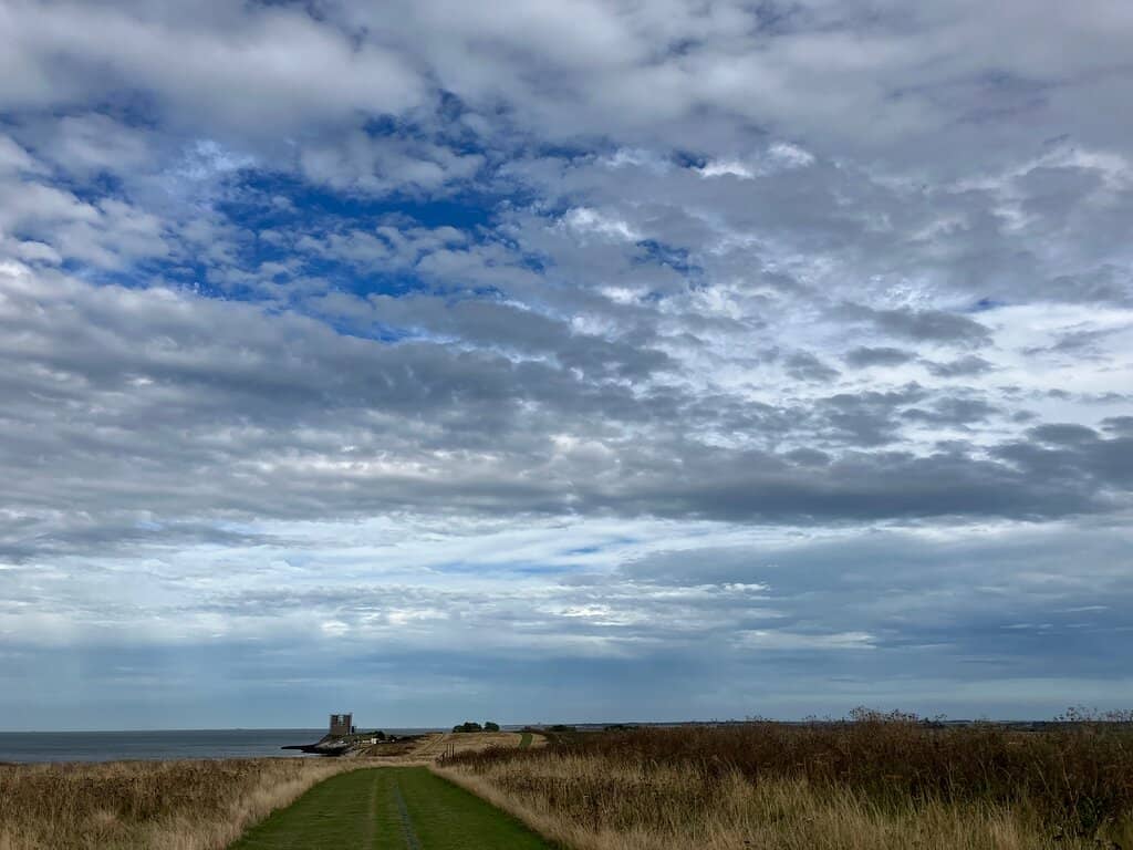 Sunflower Fields (Seasonal)